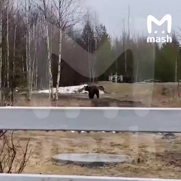 Meeshkaaa ain’t down with that 🤣🤣