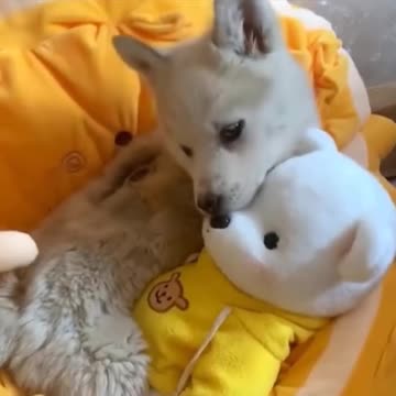 Give and receive❤❤❤