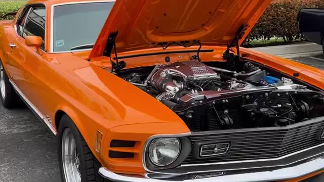 mustang orange