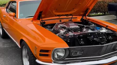 mustang orange