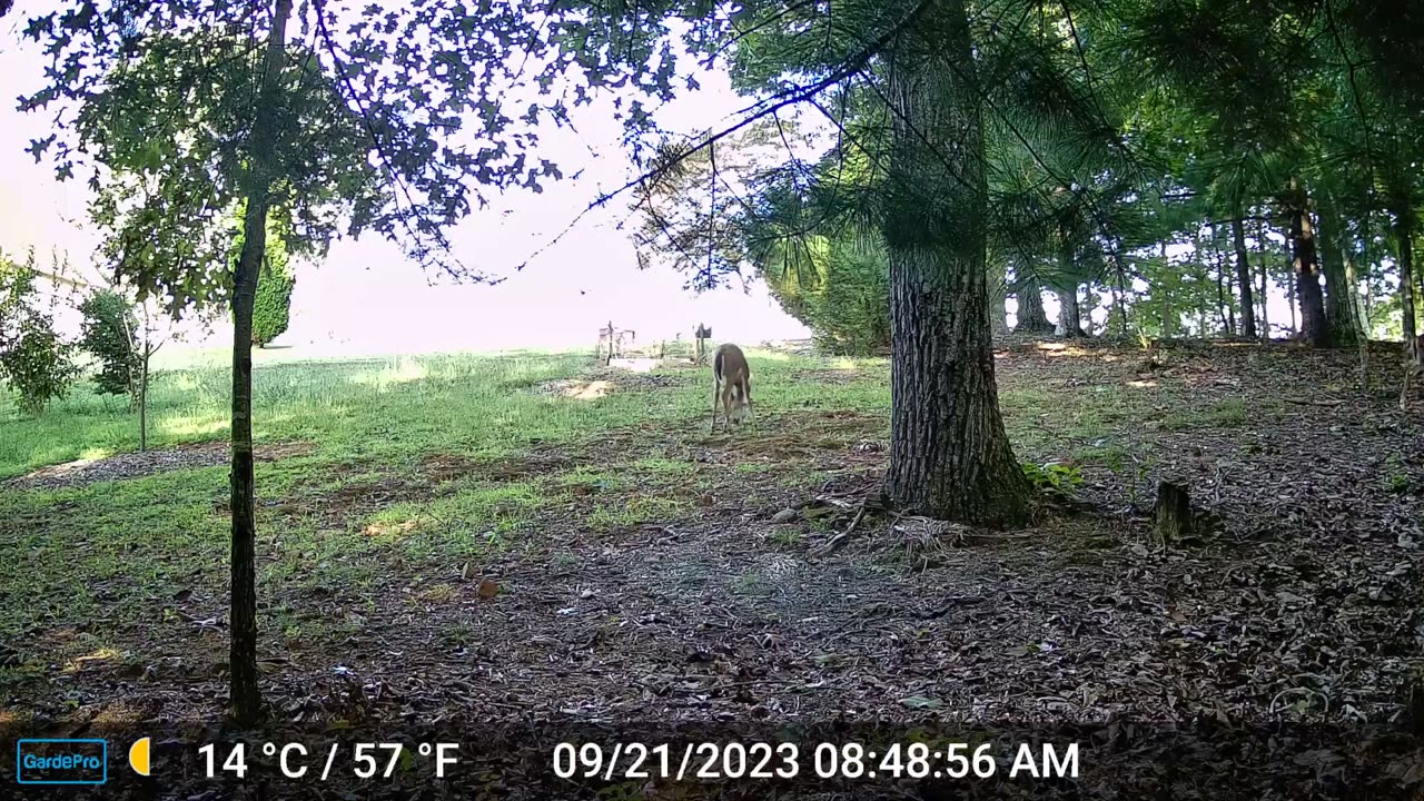 The Woods – 09/30/2023