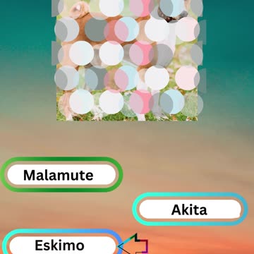 Bow-wow Trivia Challenge 4