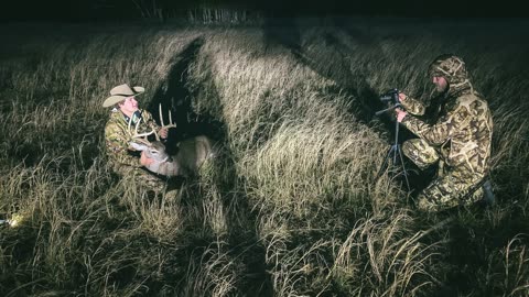 10pt Whitetail Buck