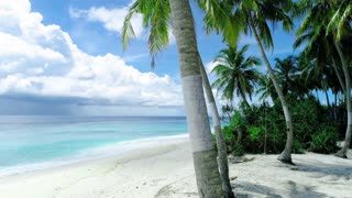 Plane beach video Satisfying video