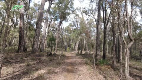 Bibbulmun Track part 14 White Horse To Mt Wells