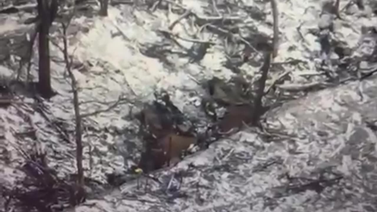 Ukrianian drone loses fight against a Russian shovel