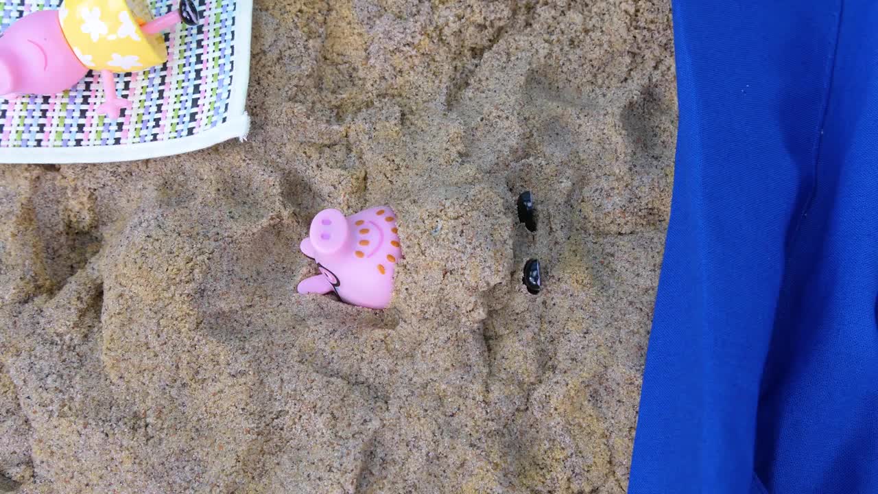 Peppa Pig at the Beach finds Dinosaur Fossils Toy Learning Video for Kids!