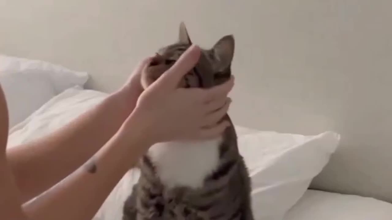 Emotional human with they pets