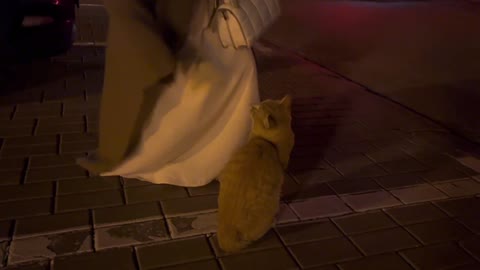 Met in the cold wind, a call it came over