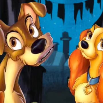 Hey girl, what do you say...