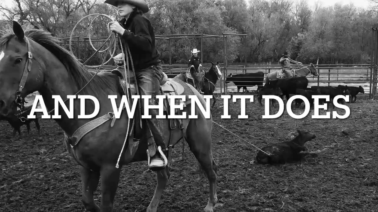 Cowboy Life HEYHEYHEY song of the day Jeffrey Steele