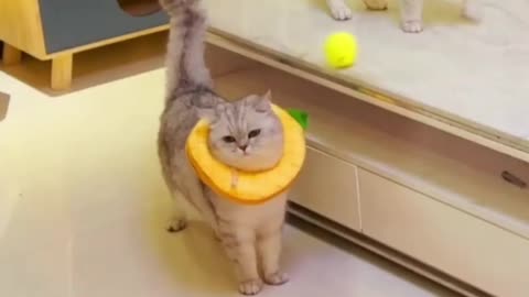 Догонялки