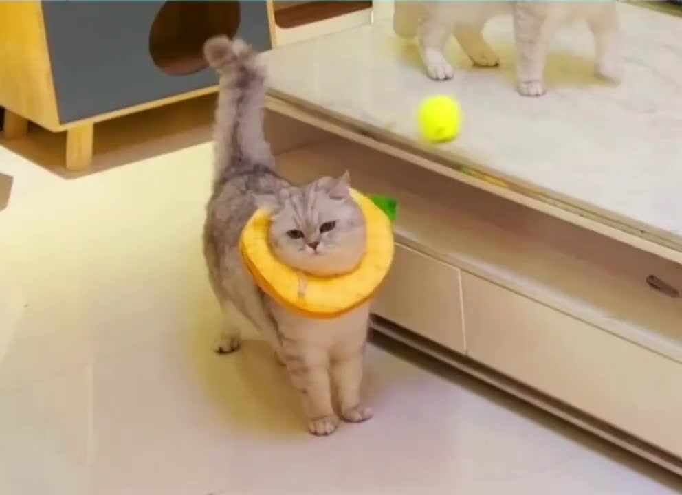 Догонялки
