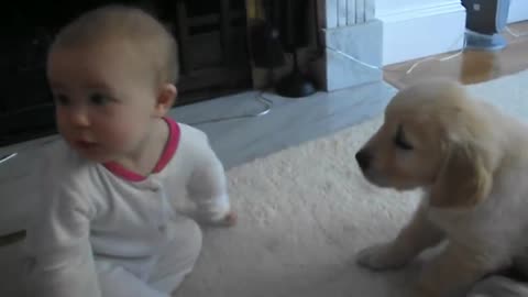 Baby and Puppy meet for the first time!_2