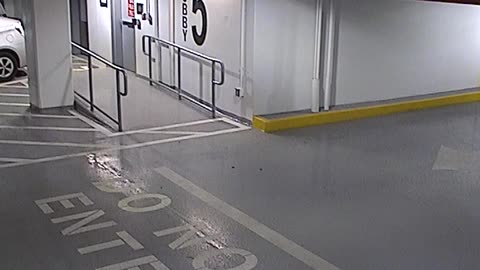 6080RHOBG3G305ANorthLobbyEntry_2021-01-06_23h00min03s893ms.mp4