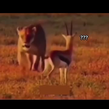 Even Nature Reward Alpha