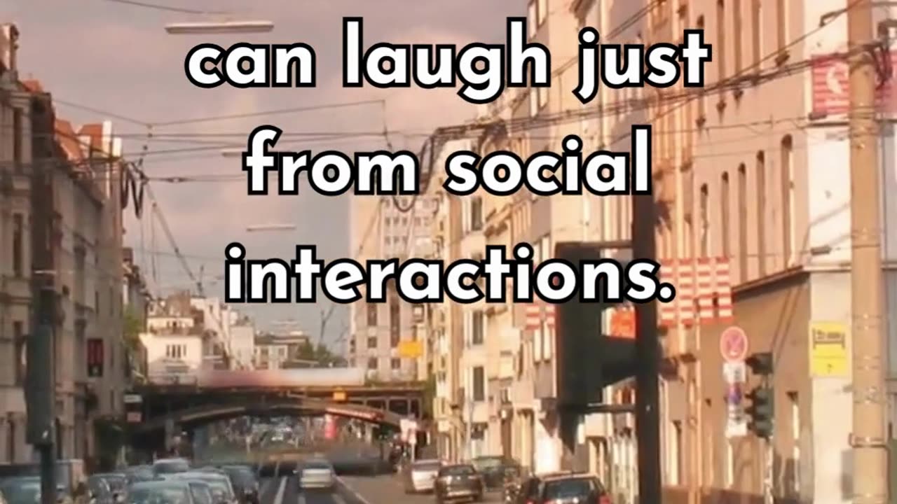 Ever shared a laugh with someone? It's a gift humans possess! Dive deeper into the laughter mystery.