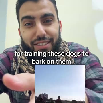 the stray dogs are anti semitic!! 🤣🤣🤣