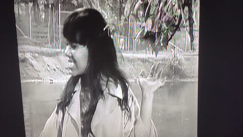 Mary Wells 1965 My Guy