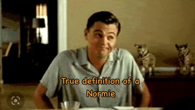 Do Normies know something we don’t know?
