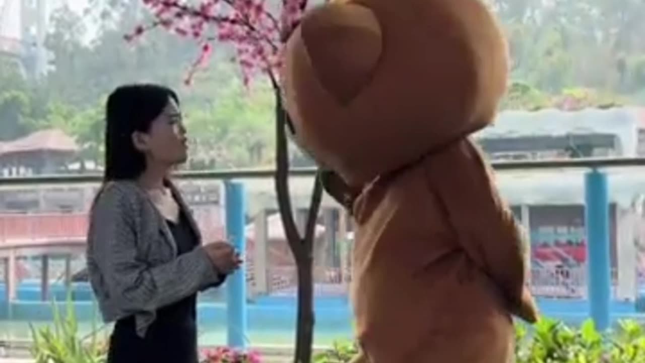 funny bear #5