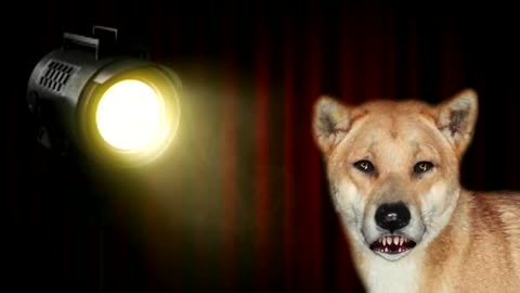 Darryl the Talking Dingo Joke About a Desert Pub