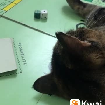 o gato jogando manjob