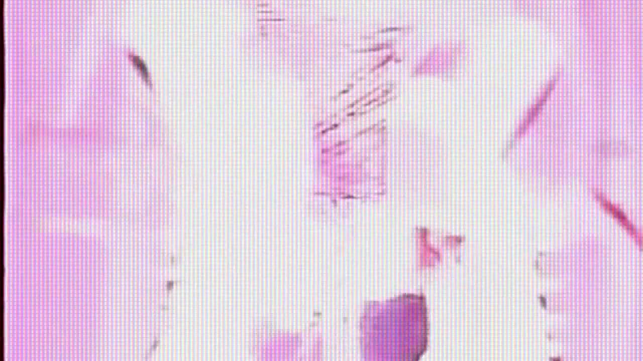 The Heads - Damage I've Done (w/Johnette Napolitano