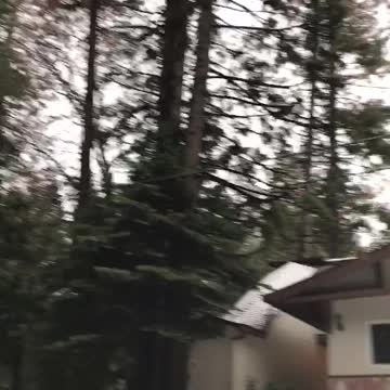 Snowing! She’s Excited! Lol