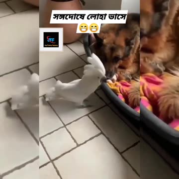 A man is known by the company he keeps