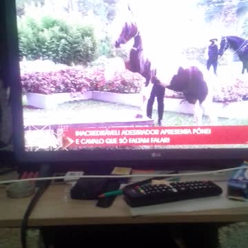 treinando cavalo pt6