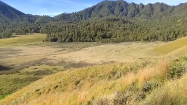 Video pemandangan indah pegunungan