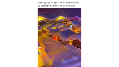Winter Wonderland: Animated Snow Spectacle!