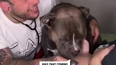 Dog's adorable reaction to baby's heartbeat