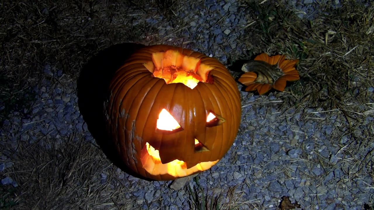 Flock it Farm: Pumpkins on Flocking Fire