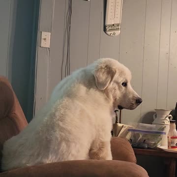 Frost thinks he's human