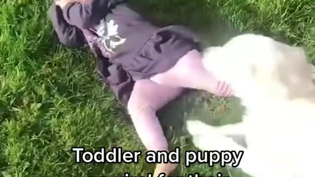 Toddler and puppy go viral for their adorable friendship