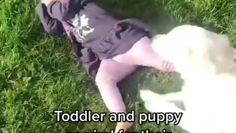 Toddler and puppy go viral for their adorable friendship