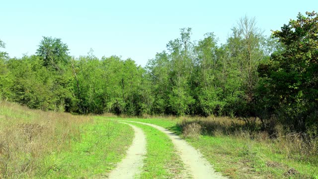 RELAX, FOREST, ROAD, SOUNDS OF NATURE Nature of Russia