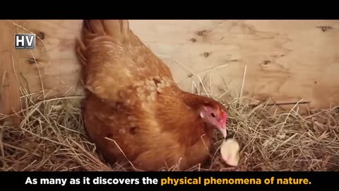 Black hole Explained By Islamic Scholar Engineer Muhammad Ali mirza