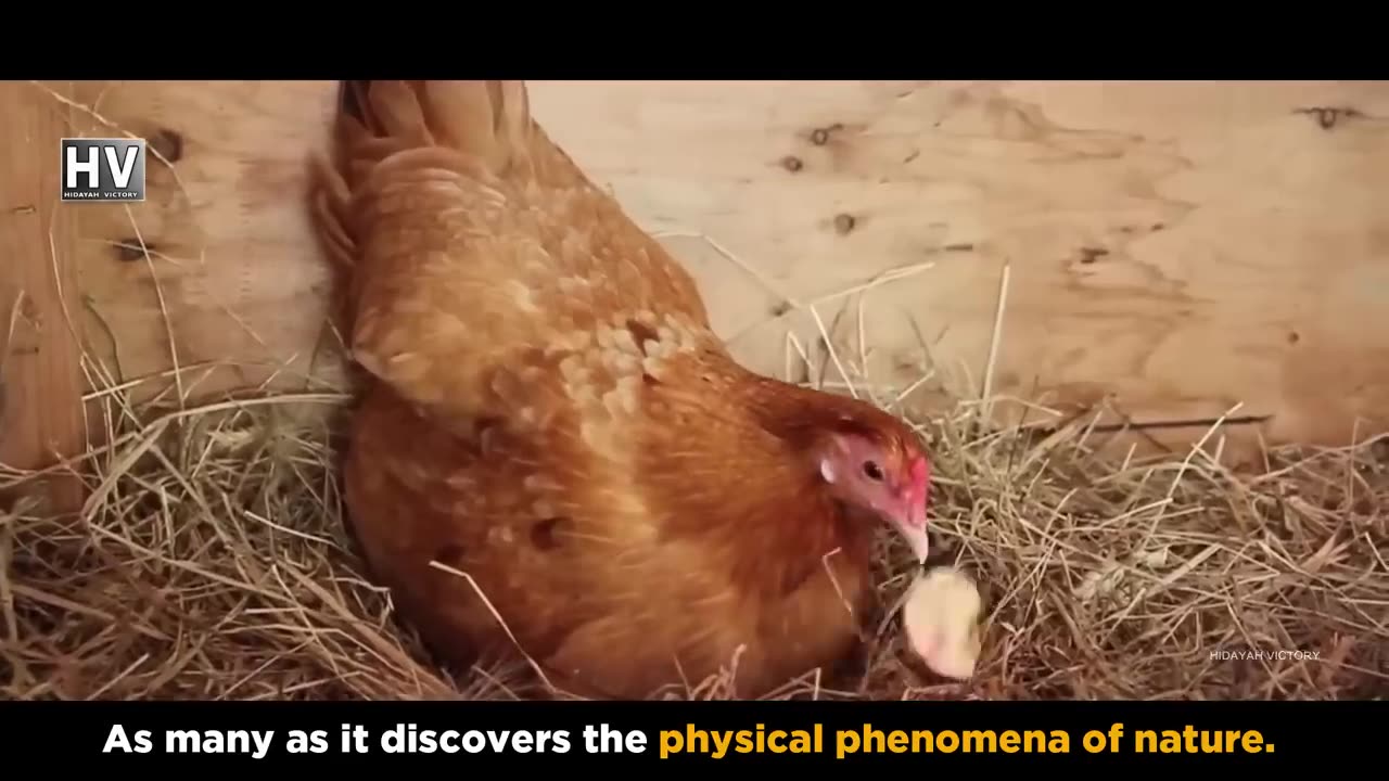 Black hole Explained By Islamic Scholar Engineer Muhammad Ali mirza