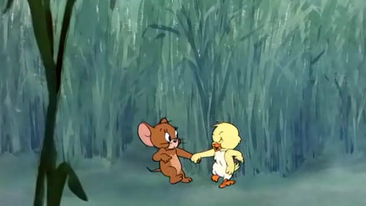 TOM N JERRY 047 Little Quacker [1950]