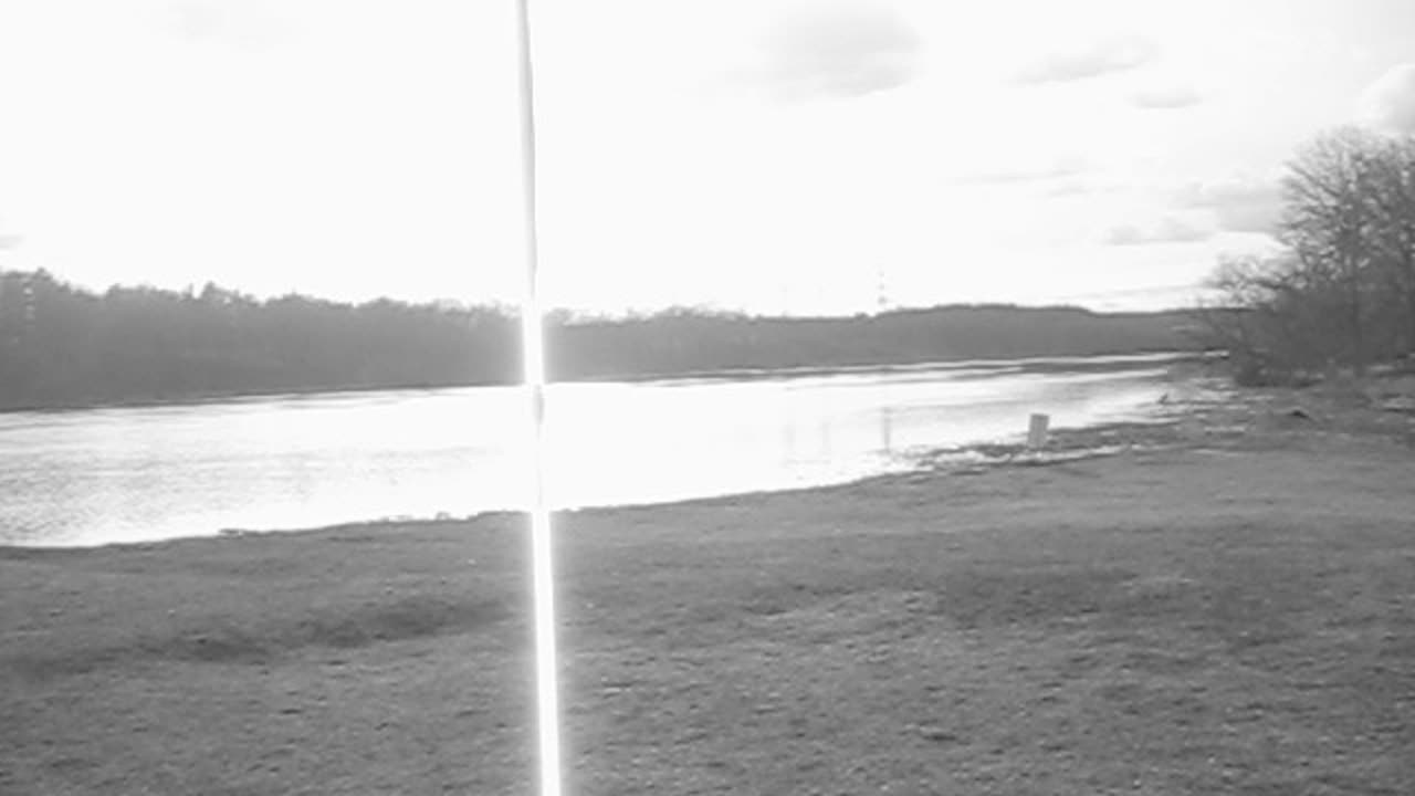 tonight walk by the river