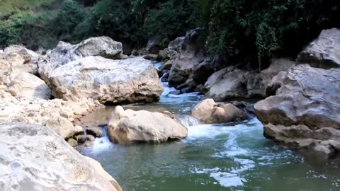 Catch Clean Cook Small River Fish
