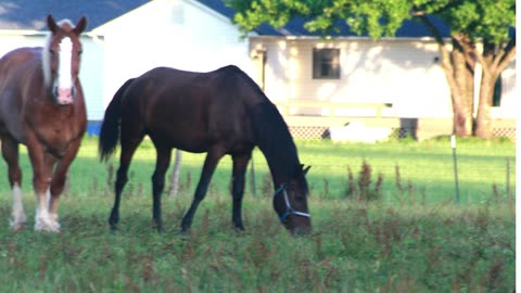 Trip into Maryl and West Va