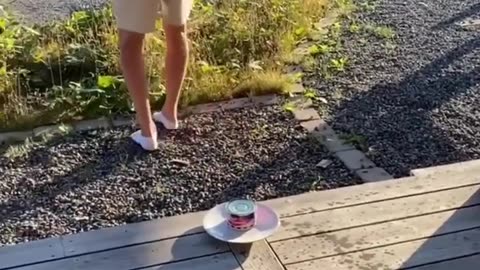 Funny videos
