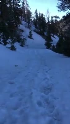 Mt Charleston under snow