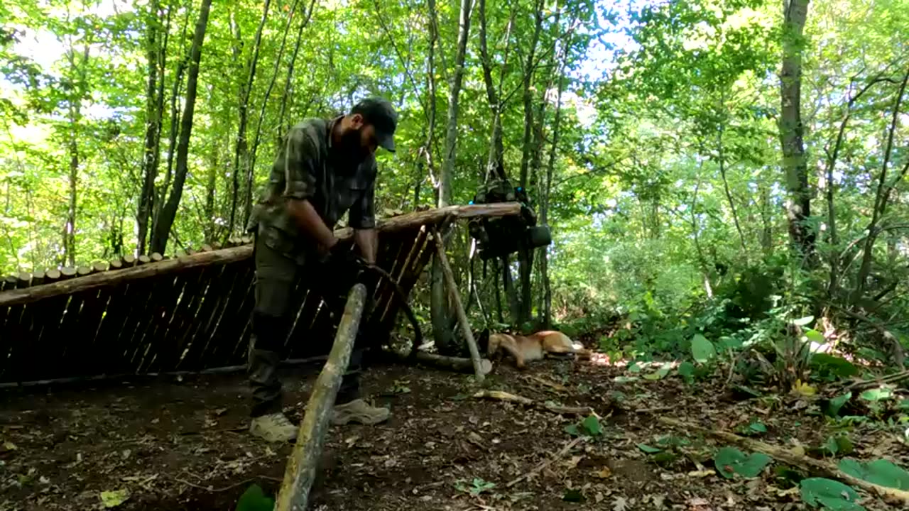 2 Days Solo BUSHCRAFT SHELTER Camping in the Woods with My Dog, Survival, Wild Camping, ASMR, DIY