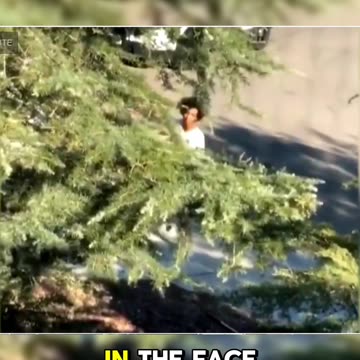 I pulled my gun out and yelled "I'm going to shoot you!"