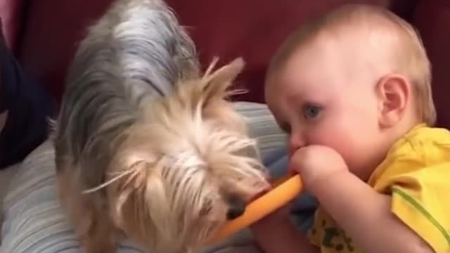 give me my toys back